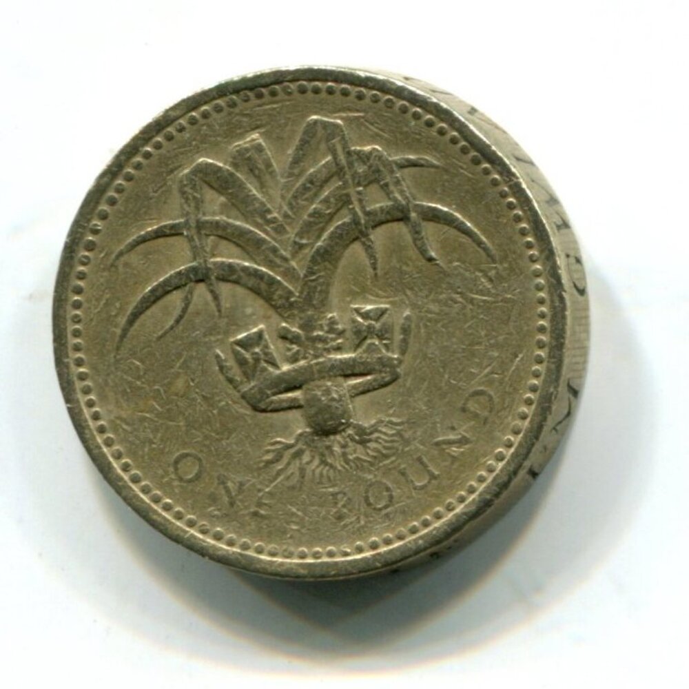 1985 Great Britain Welsh Leek One Pound Coin (b511-1)